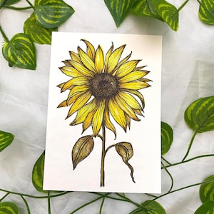 Illustration aquarelle originale de tournesol, format carte postale A6