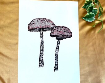 Original art print mushroom toadstool watercolour illustration