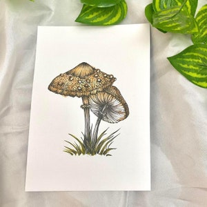 Oryginalna grafika grzyb ropucha stołek akwarela ilustracja A6 rozmiar pocztówki