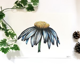 Original blue flower daisy illustration A4 watercolour pen and ink drawing / painting original signed artwork