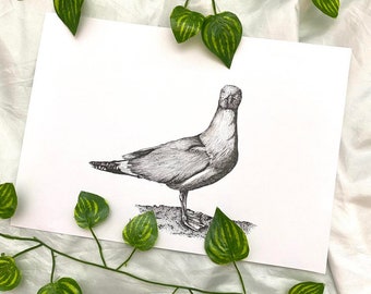 Original illustration // seagull