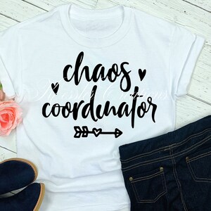 Chaos coordinator