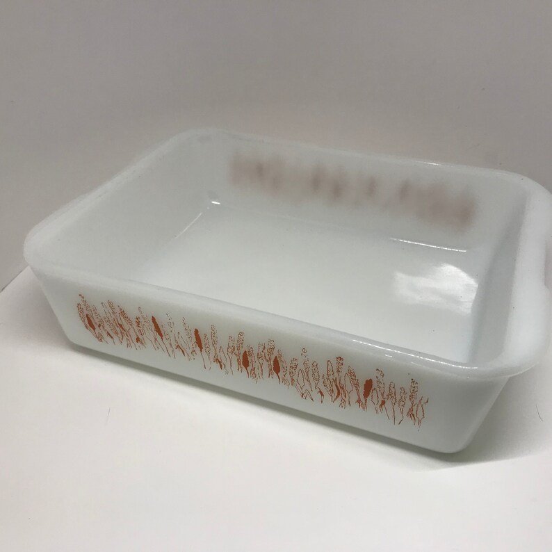PROCTOR SILEX Slow Cook PAN Refridgerator storage dish 1960s-70s Mid Century Modern Low Temp cookware storage kitchen opaline glassware
