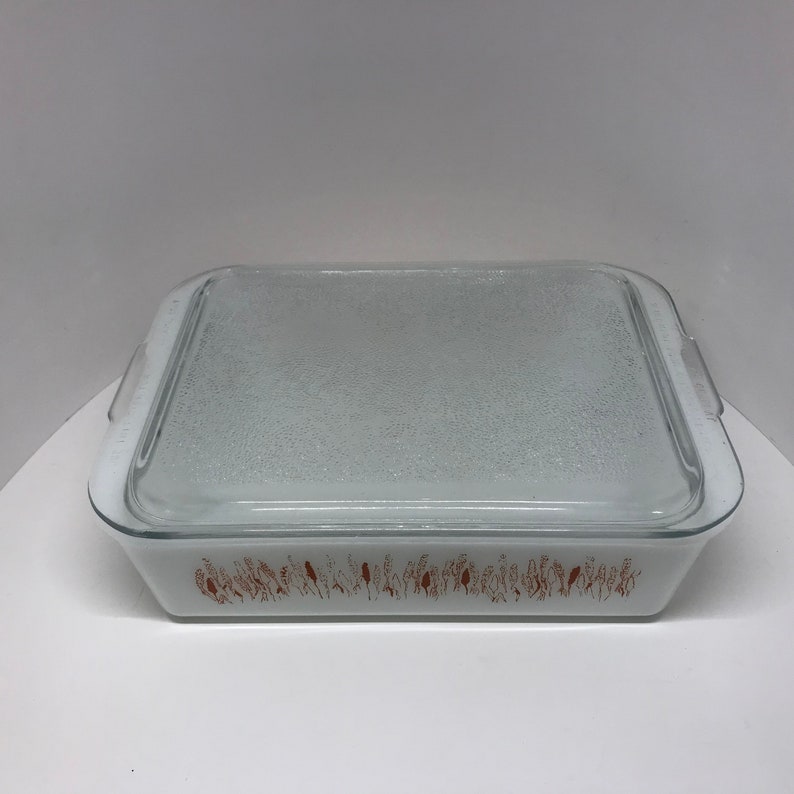 PROCTOR SILEX Slow Cook PAN Refridgerator storage dish 1960s-70s Mid Century Modern Low Temp cookware storage kitchen opaline glassware
