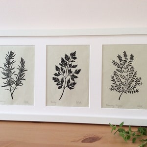 Herb Linoprints. Rosemary, Thyme, Parsley, Dill & Mint. Hand-pulled ...