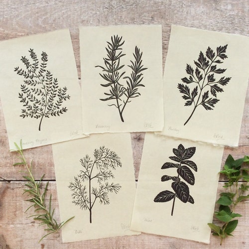 Ensemble de linogravure aux herbes : estampes dessinées à la main, oeuvres d'art botaniques originales