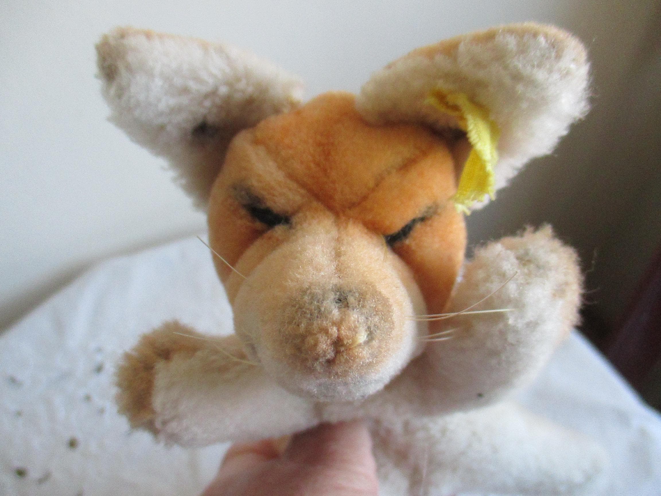 ぬいぐるみ vintage steiff Fox plush toy Vintage Fox Steiff - Etsy