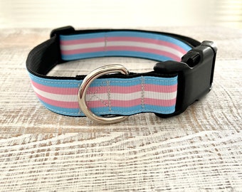 Transgender Pride Dog Collar, LGBTQ, Handmade Adjustable Dog Collar, Pride Gifts