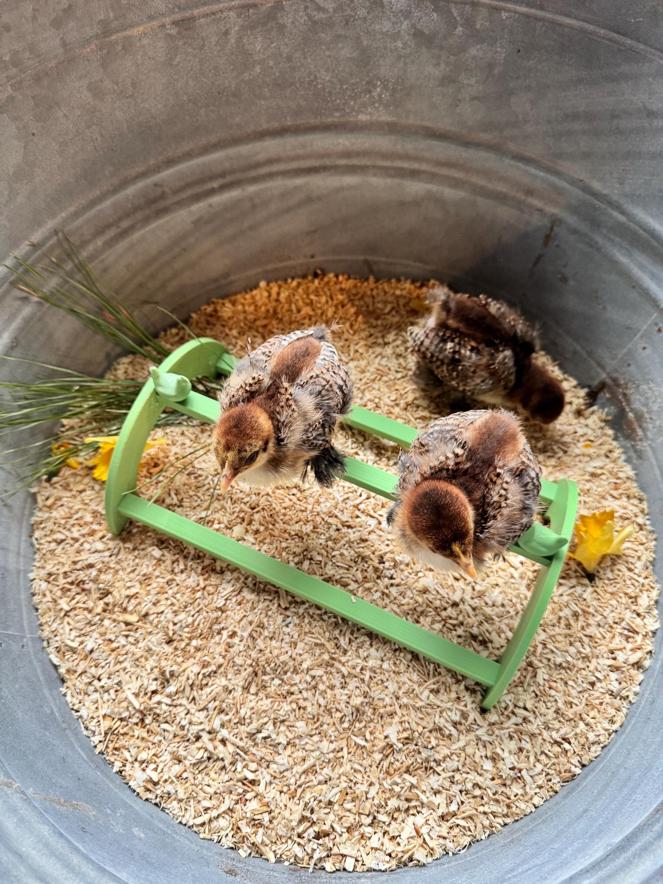 3D Printed Baby Chick Roosting Bar – Easy Clean Brooder Perch – Chick ...