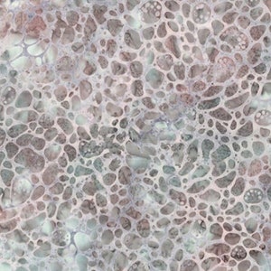 Bali Batik, Natural Beauty, U2494-270-Hippo, Pebbles, Hoffman Fabrics, Sold by the Half Yard