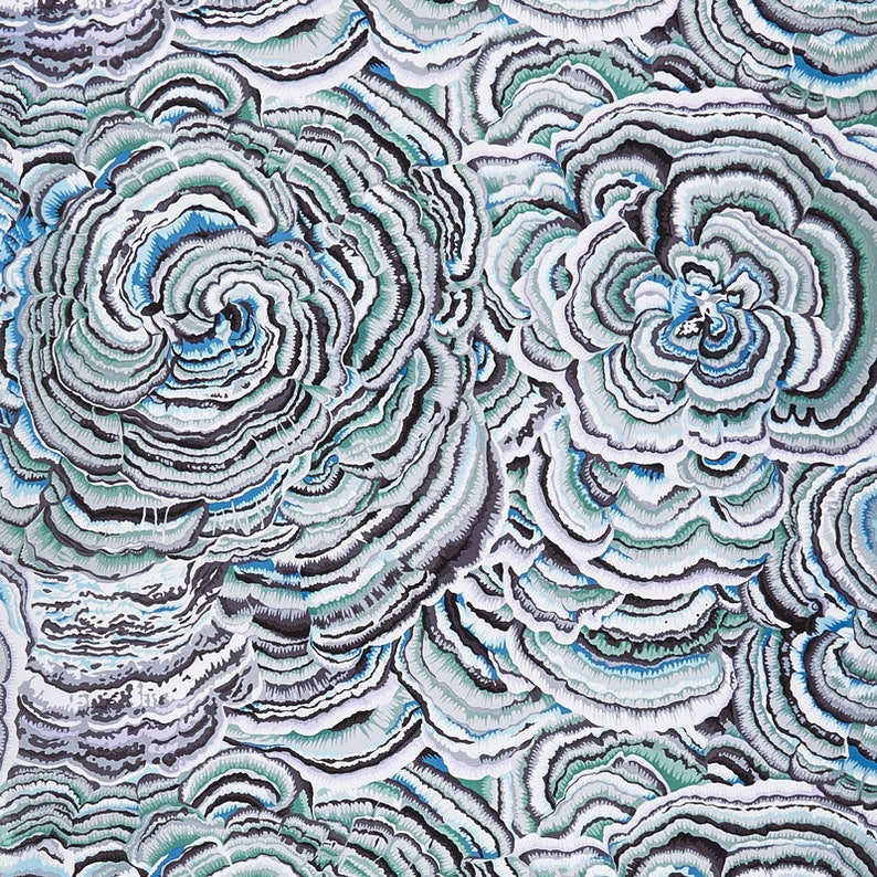 Kaffe Fassett Fabric Fall 2017 In Tree Fungi Contrast Black Etsy