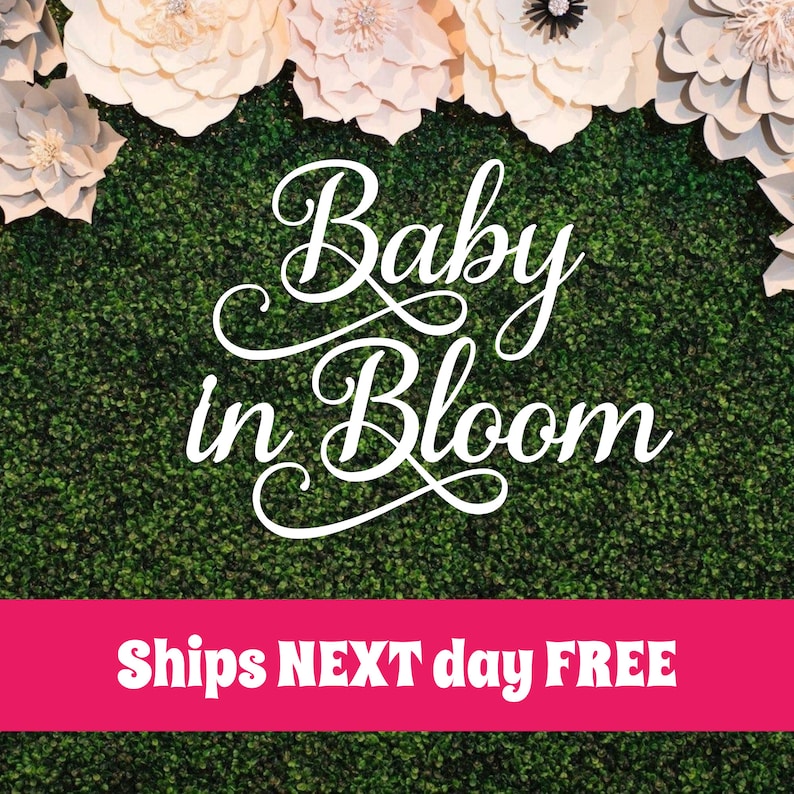 Baby in Bloom Wood Sign Wood Baby Shower Sign Oh Baby Etsy