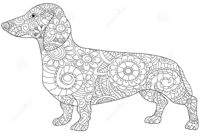 Download Mandala Dachshund SVG | Etsy