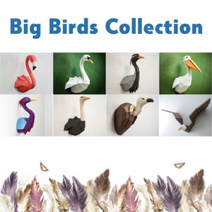 Collezione Papercraft Big Birds, set di carta artigianale di fenicotteri, cigni, gru, pellicani, aironi azzurri, struzzi, avvoltoi, aquile. Kit fai da te di modelli 3D