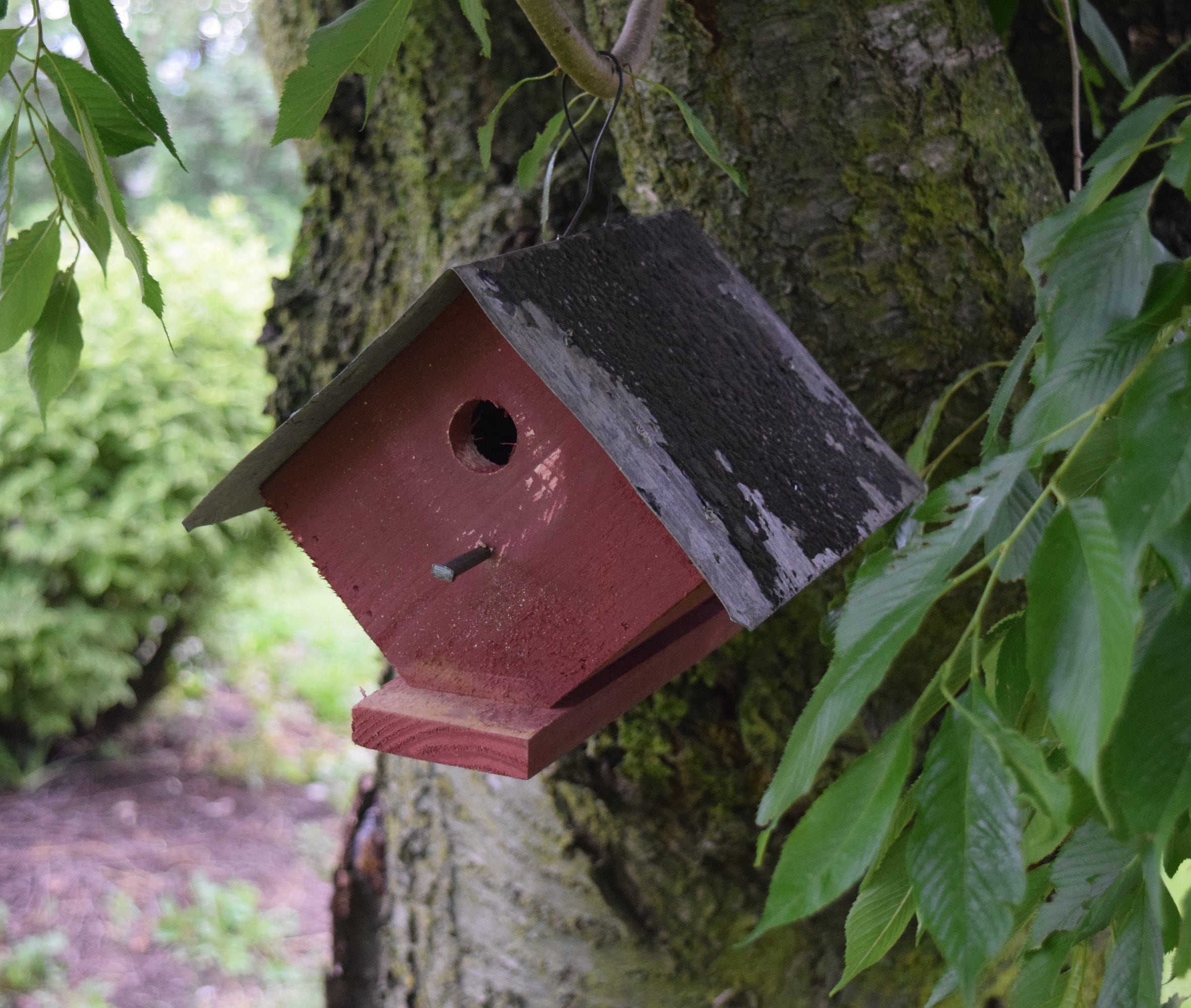 Rustic Wren Rustic Wren Birdhouse | USA Amish Handmade - Etsy