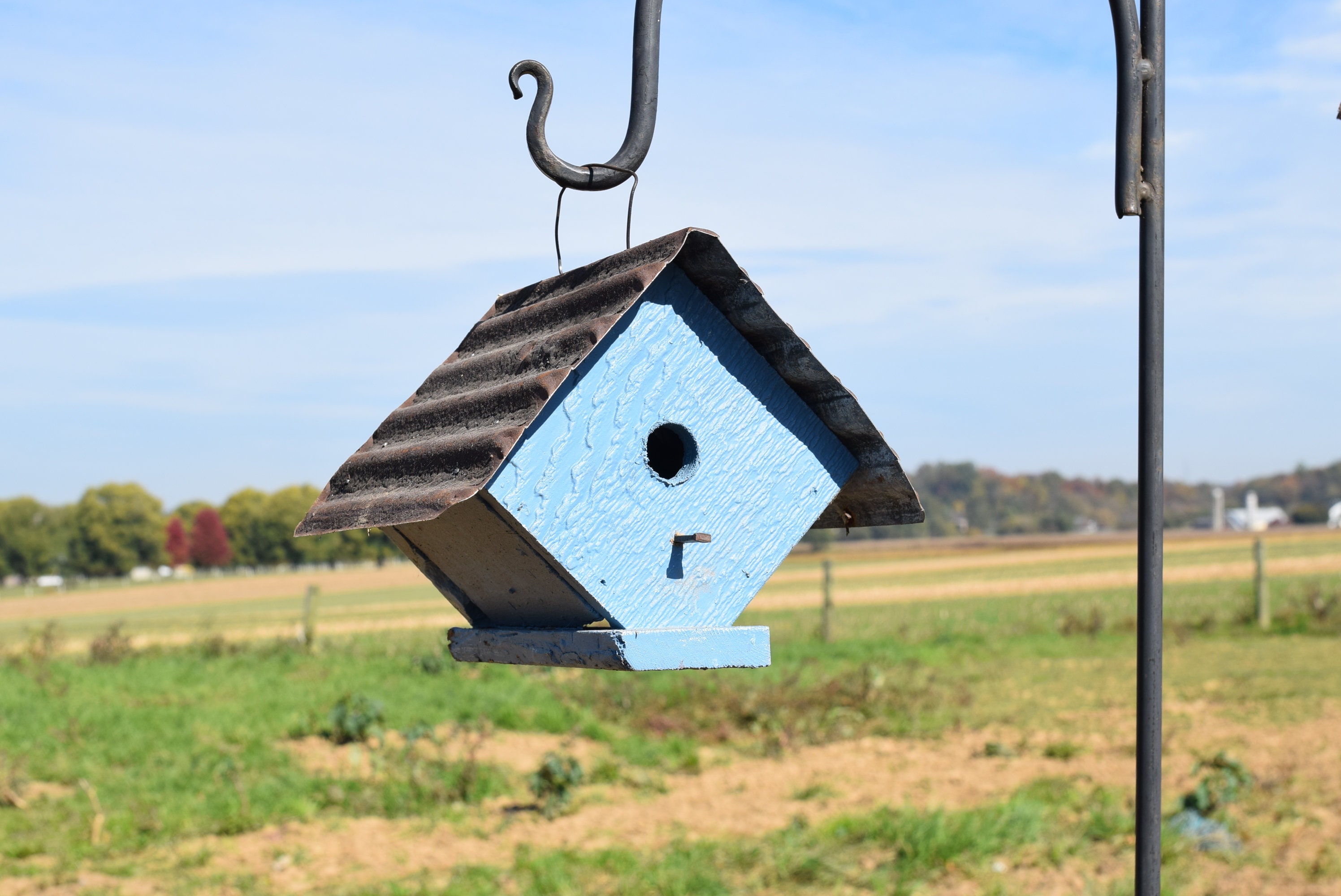 Rustic Wren Rustic Wren Birdhouse | USA Amish Handmade - Etsy