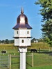 Birdhouse |Extra large  Castle birdhouse | 8 rooms | Vinyl  & Copper roof | Amish handmade | Made in USA 