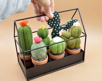 Composition of 6 felted cacti