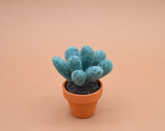 Small heather green succulent in felted wool