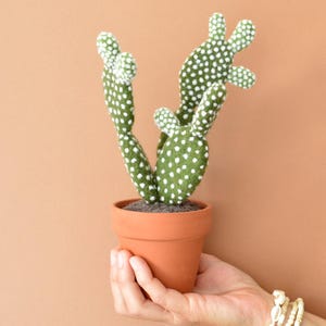 Cactus Opuntia microdasys in lana infeltrita ad ago - pianta finta - arredamento per la casa - cactus artificiale - fico d&#39;india
