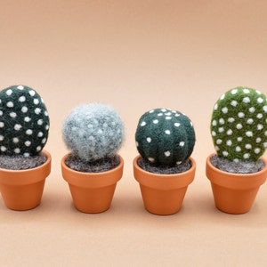 Petit cactus Mammillaria senilis en laine feutrée image 4