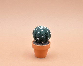 Small felted wool Echinopsis cactus