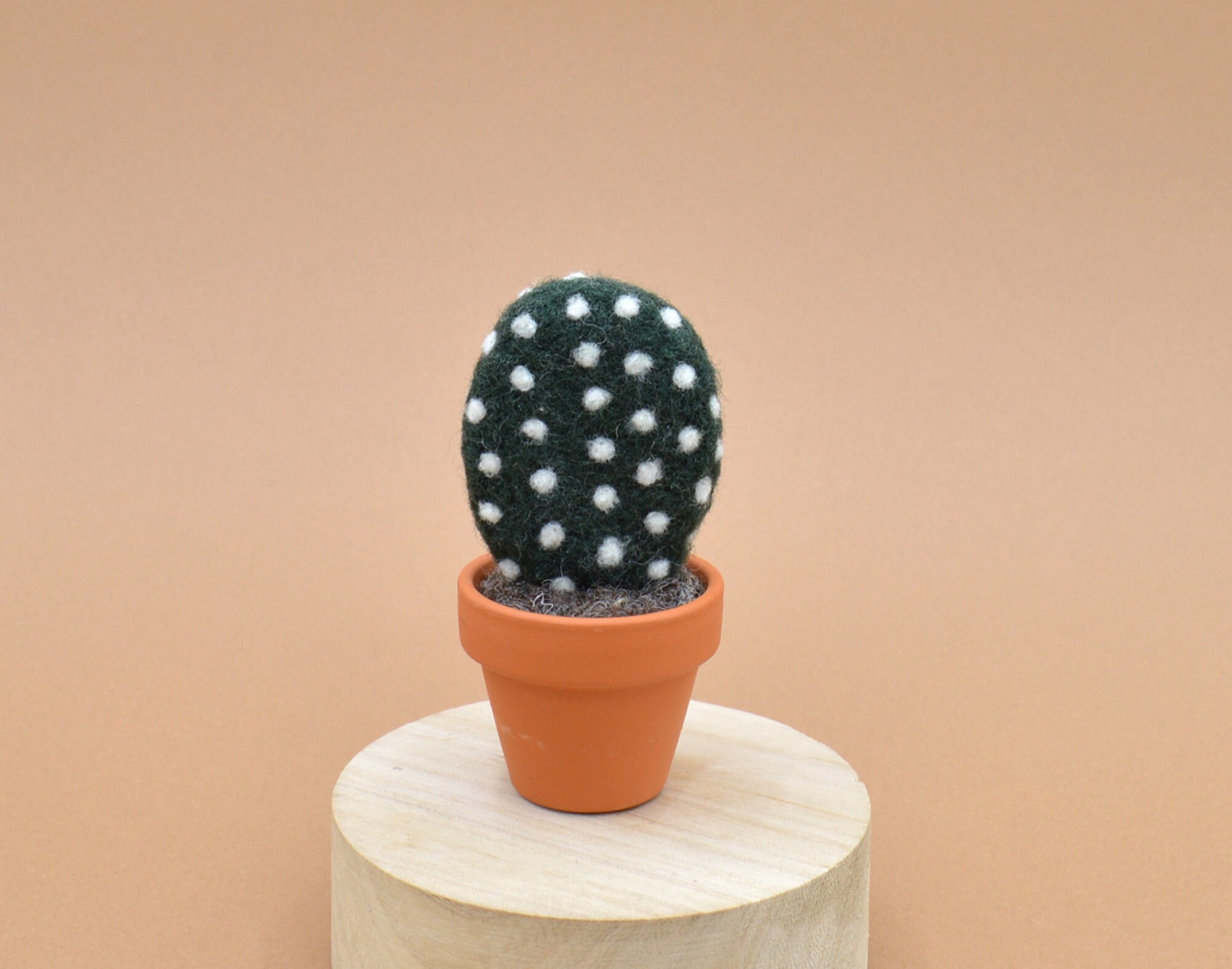 Petit Cactus Opuntia Vert Foncé 1 Tige en Laine Feutrée