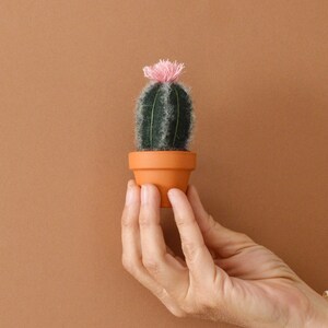 Small Cactus 1 dark green stem with pink flower in felted wool