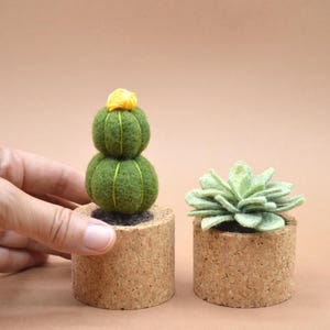 Peut inclure: Deux plantes succulentes en feutre dans des pots en liège. La plante à gauche est un cactus vert et jaune. La plante à droite est une succulente verte.