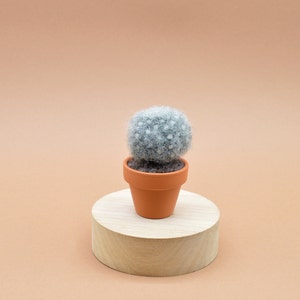 Petit cactus Mammillaria senilis en laine feutrée image 3