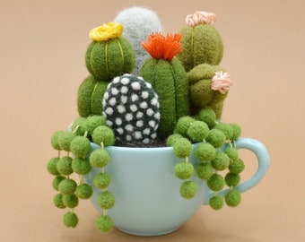 Felted wool cacti and succulents in a blue mug