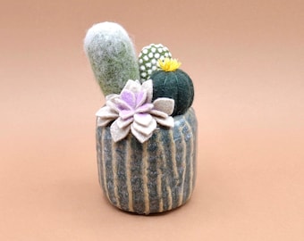 Composition de cactus  et succulente en laine feutrée et feutrine dans un pot émaillé kaki