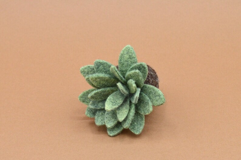 Petite succulente Echeveria vert kaki clair image 4