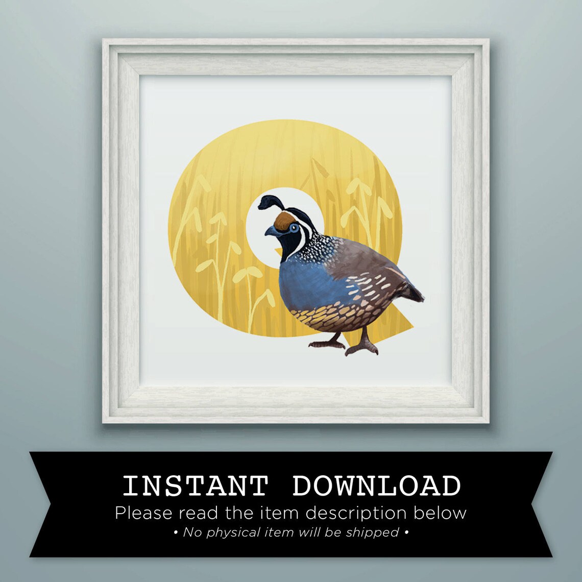 Q is for Quail, Quail, Quail Illustration, Bird, Nursery Art, Printable