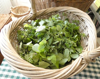 Melissa ~ Lemon Balm tea