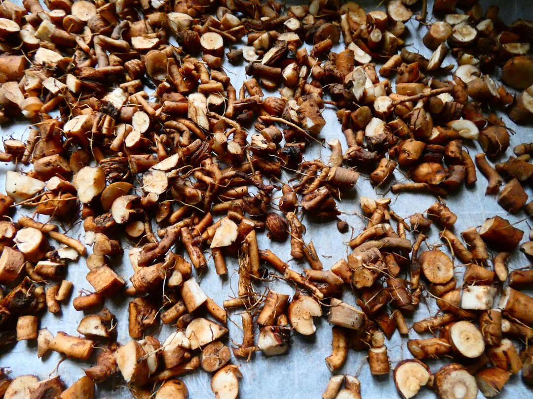 Dried Herbal Roots - Etsy