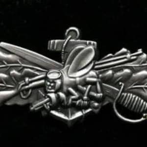 May include: A silver metal pin with a stylized depiction of a frog, oak leaves, and a rifle. The frog is wearing a diving helmet and holding a spear. The pin is likely a military award or decoration.