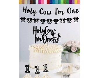 Holy Cow I'm One Birthday Party Decorations, Cow One Birthday Party Decor, Farm 1st Birthday Party Supplies, First Bday Cow Garland