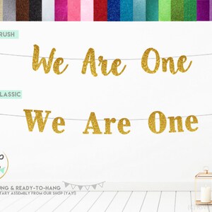 We Are One Banner, Glitter We Are One Sign, Twins' First Birthday, Twin Birthday Banner, Twin 1st Birthday Decorations, Triplet Birthday image 3