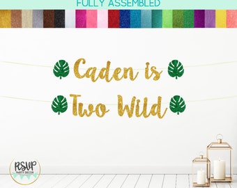 Custom Two Wild Banner, Due Wild Party Decorations, Safari Second Birthday Party Decor, Zoo 2nd Birthday Banner, Dinosaur Two Birthday Theme
