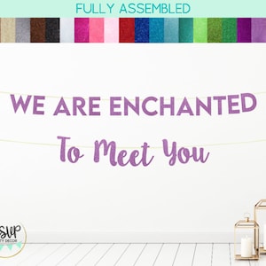 We Are Enchanted To Meet You Banner, Eras Themed Baby Shower Decorations, Swiftie Baby Shower Decor, Taylor Baby Shower Banner