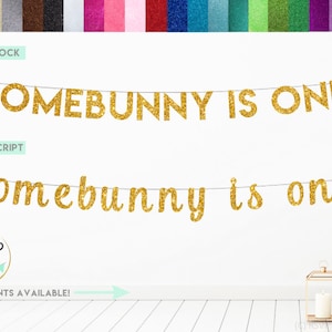 Somebunny is One Banner, Bunny Themed 1st Birthday Decor, Somebunny is One Sign, Easter 1st Birthday Banner, First Birthday Decorations