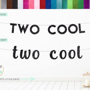 Two Cool Banner, Glitter Two Cool Sign, Second Birthday Banner, 2nd Birthday Party Decorations, Two Cool Party Decor