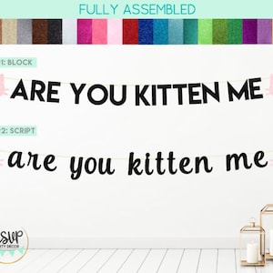 Are You Kitten Me Banner, Cat Banner, Cat Party Decorations, Cat Birthday Decor, Kitty Party Decor, Kitty Birthday Party Supplies, Cat Sign image 1