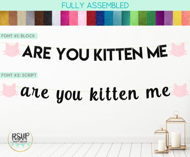 Are You Kitten Me Banner, Cat Banner, Cat Party Decorations, Cat Birthday Decor, Kitty Party Decor, Kitty Birthday Party Supplies, Cat Sign image 1