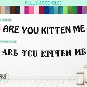 Are You Kitten Me Banner, Cat Banner, Cat Party Decorations, Cat Birthday Decor, Kitty Party Decor, Kitty Birthday Party Supplies, Cat Sign image 2