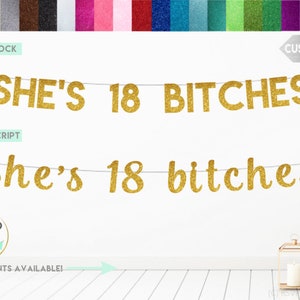 ANY NUMBER She's 18 Bitches Banner, Finally Legal Banner, She's 21 Bitches Banner, Girl Birthday Party Decor, 17 18 19 20 21, Birthday Decor