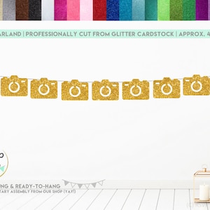 Camera Garland, Camera Banner, Photographer Party Decorations, Hollywood Party Decorations, Hollywood Birthday Banner, Red Carpet Banner