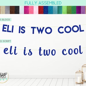 Personalizzato è due banner cool, due banner cool con nome, banner per il 2 ° compleanno, decorazioni per feste di 2 ° compleanno, decorazioni per due feste, 2 segni fantastici