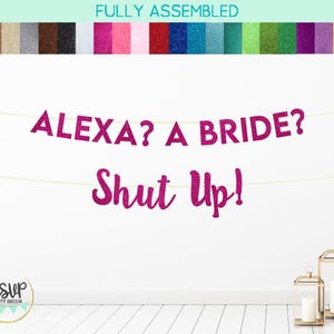 Custom Me? A Bride? Shut Up! Banner, Princess Themed Bachelorette Party Supplies, Diaries Bachelorette Decor, Princess Bridal Shower